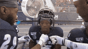NevadaWolfPack football nevada wolf pack nevada wolf pack GIF
