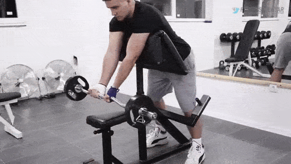 bodybuilding-and-fitness giphyupload biceps GIF