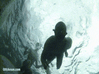tunnel moms GIF