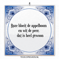 Humor Wijsheid GIF by Tegelspreuken.nl