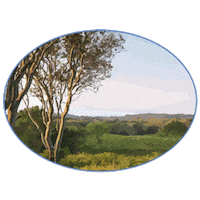 Block Island Travel Sticker by VisitRhodeIsland
