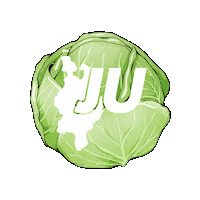 ju-lvol ju jungeunion jukohl julvol Sticker