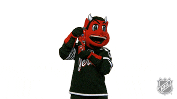 Ice Hockey Sport GIF by NHL