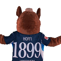 Rückennummer Rücken Sticker by TSG Hoffenheim