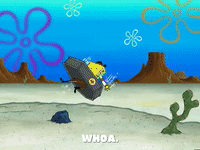 season 5 GIF by SpongeBob SquarePants