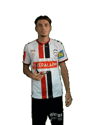 Admira Sticker by KSV1919