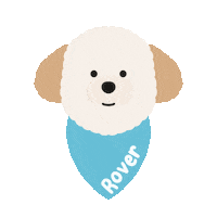 Roverthepoodle Sticker