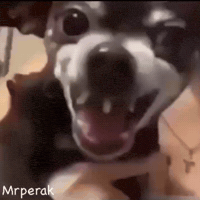 Art Smile GIF