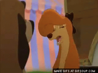 the fox and the hound GIF