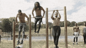 karatecombat sports sport mma fighter GIF
