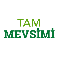 Tazedirekt vegan yemek mis organik Sticker