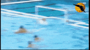 water shot GIF