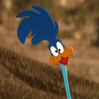 CoyoteACMEMovie love looney tunes smooch mwah GIF