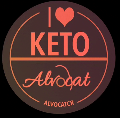 ALVOCATCR costa rica keto alvocat GIF