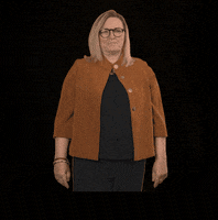 fdpfraktionlsa fdplsa ktarricone tarricone fdpfraktionlsa GIF