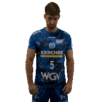 Handball Stuttgart Sticker by DAIKIN HBL