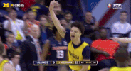 March Madness GIF by Michigan Athletics