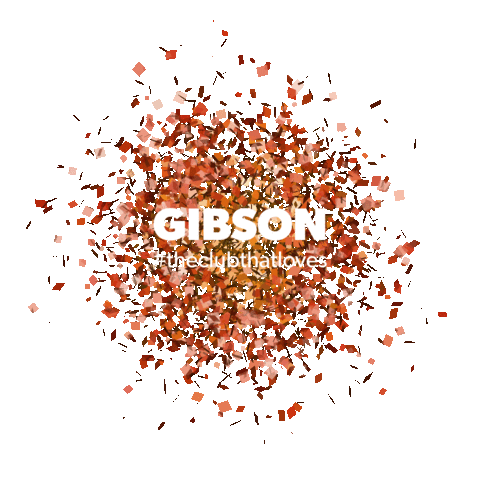 GibsonClubFrankfurt giphyupload club glitter champagne Sticker