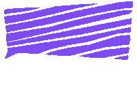 Illustration Sticker Sticker