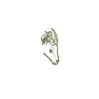 ConcelloPontevedra monte xabarin pontevedra jabali Sticker