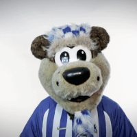 GIF by Hertha BSC