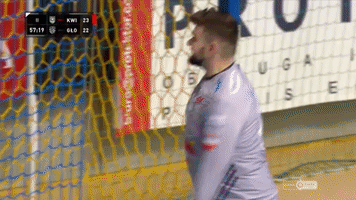 Handball Superliga GIF by Superliga
