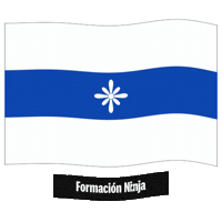 Bandera Granada Sticker by Formación Ninja