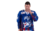 Eishockey Sticker by Adler Mannheim