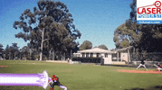 baseballhittingdrills baseball home run hitting baseball player GIF