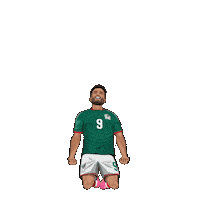 World Cup Football Sticker by Panini America