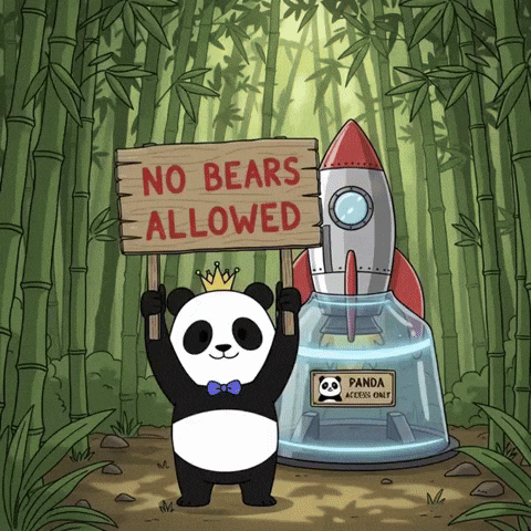 Rocket GIF by Pandu Pandas