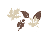 Changing Of The Leaves Sticker by Grand Canyon University