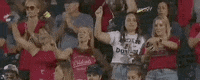 College World Series Baseball GIF by NCAA Championships