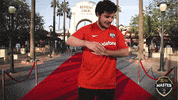 Mlpcsgo GIF by Master League Portugal
