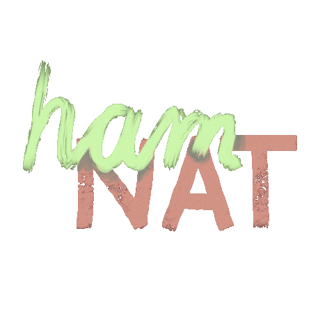 Studying Germany Sticker