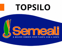 Sorgo Silagem GIF by semealisementes