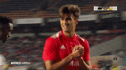 Sl Benfica Slbgif GIF by Sport Lisboa e Benfica