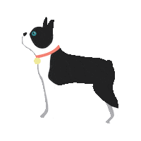 legacyplace yappyhour legacyplace legacyplacedogs Sticker