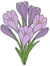 Fruhling Krokus Sticker