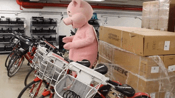 Flyingpig GIF by Red Bike