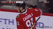 Celebrate Ice Hockey GIF by NHL