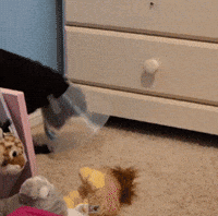Casper GIF