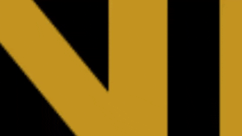 NIKKI_Nederland giphygifmaker nikki goud samen GIF