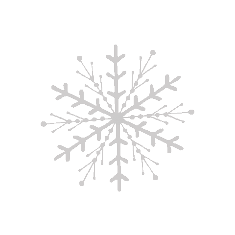 Lays_Belarus giphyupload 2021 newyear snowflake Sticker