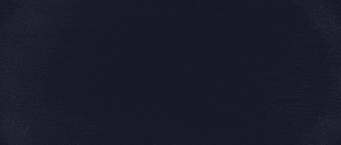 Anna_Dudko giphyupload fall 2d 2d animation GIF