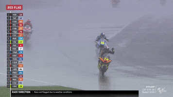 Red Flag No GIF by MotoGP