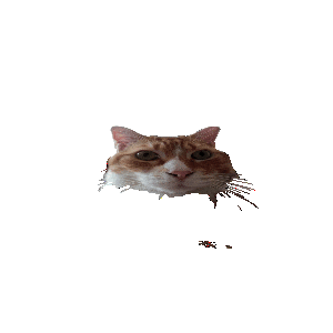 Space Cat Sticker