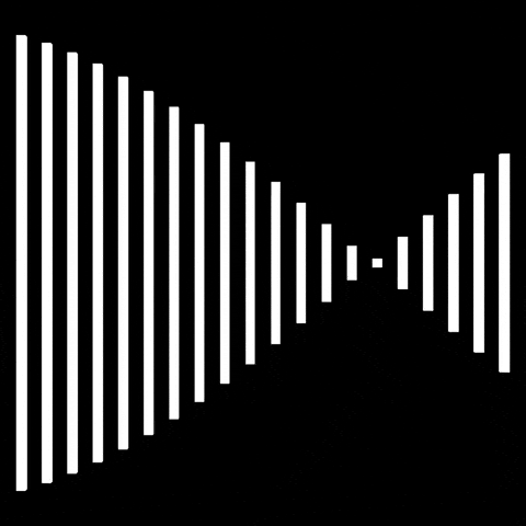 Black And White Lines GIF by partyonmarz