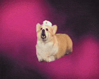 Cut It Out No GIF by Yung Bae