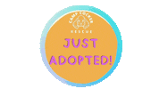 Adopt Sticker by Camp Cocker Rescue